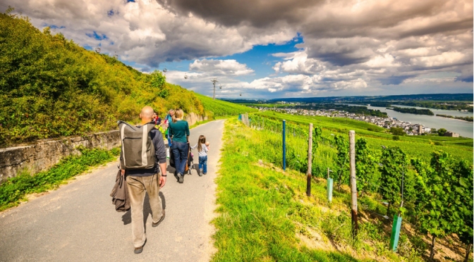 Hiking the Rhine Valley 4 Days/3 Nights Departs Daily with Avanti